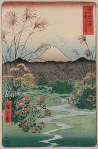 tsuki Vlakte in Kai Provincie (Kai tsuki no hara), uit de serie Zesendertig Zichten op de Fuji